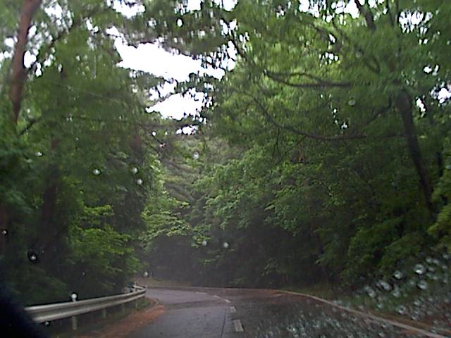 旅する画像