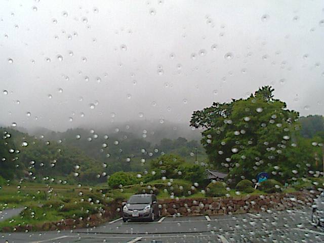 旅する画像