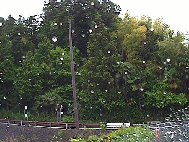 旅する画像