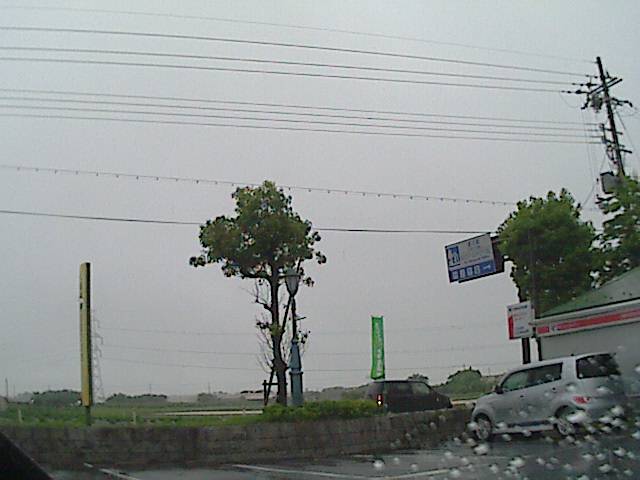 旅する画像