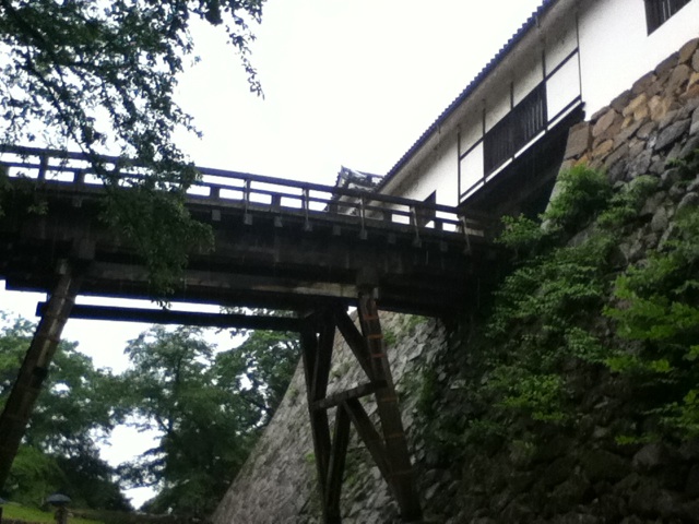旅する画像