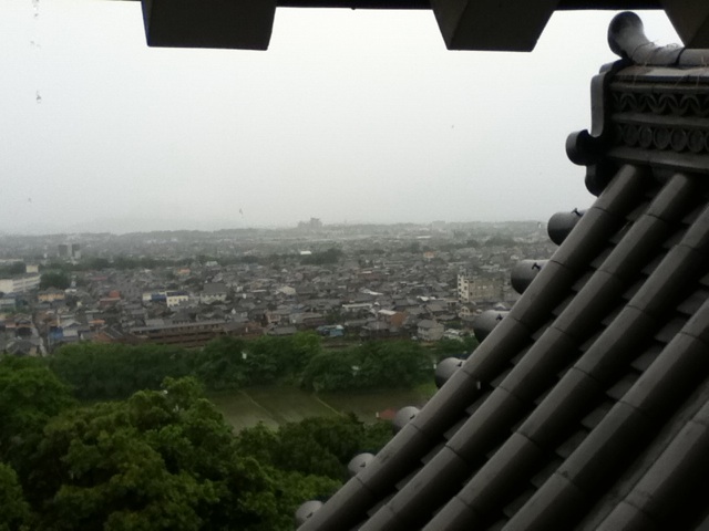 旅する画像