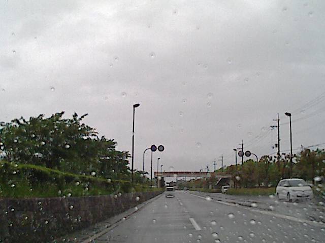 旅する画像