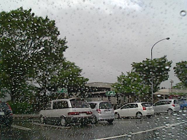 旅する画像