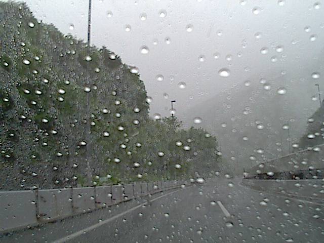 旅する画像