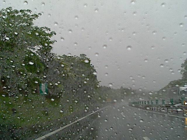 旅する画像
